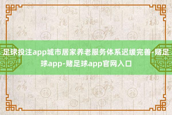 足球投注app 城市居家养老服务体系迟缓完善-赌足球app-赌足球app官网入口