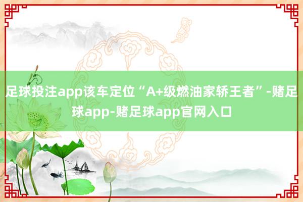 足球投注app该车定位“A+级燃油家轿王者”-赌足球app-赌足球app官网入口