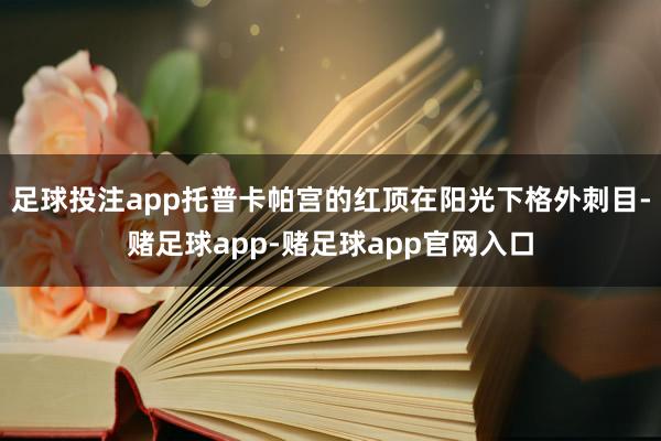 足球投注app托普卡帕宫的红顶在阳光下格外刺目-赌足球app-赌足球app官网入口