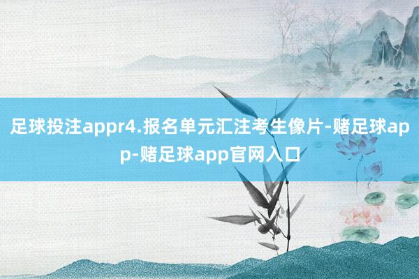 足球投注appr4.报名单元汇注考生像片-赌足球app-赌足球app官网入口