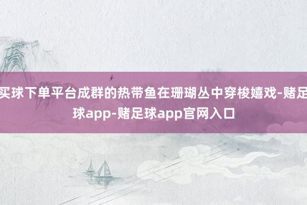 买球下单平台成群的热带鱼在珊瑚丛中穿梭嬉戏-赌足球app-赌足球app官网入口