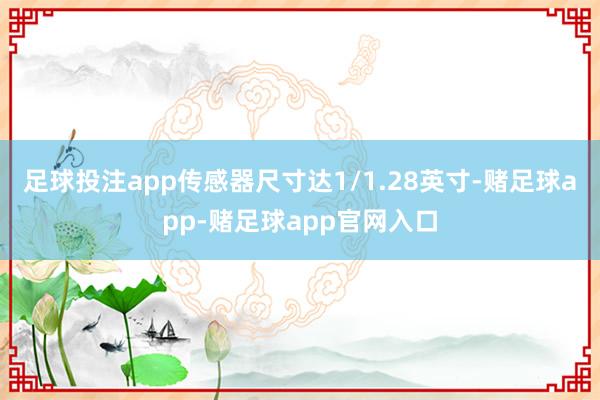 足球投注app传感器尺寸达1/1.28英寸-赌足球app-赌足球app官网入口
