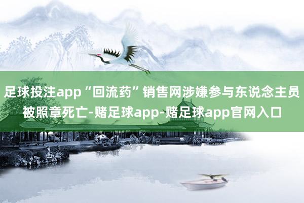 足球投注app“回流药”销售网涉嫌参与东说念主员被照章死亡-赌足球app-赌足球app官网入口